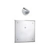 Delta Commercial Battery Operated Metering Electronic Shower System with 4" Control Box Solenoid Valve and Single Function Shower Head